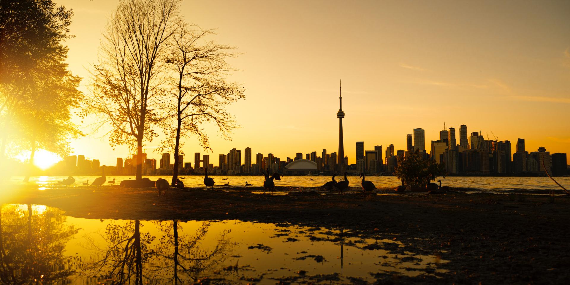 An image of the Toronto skyline as the sun sets.