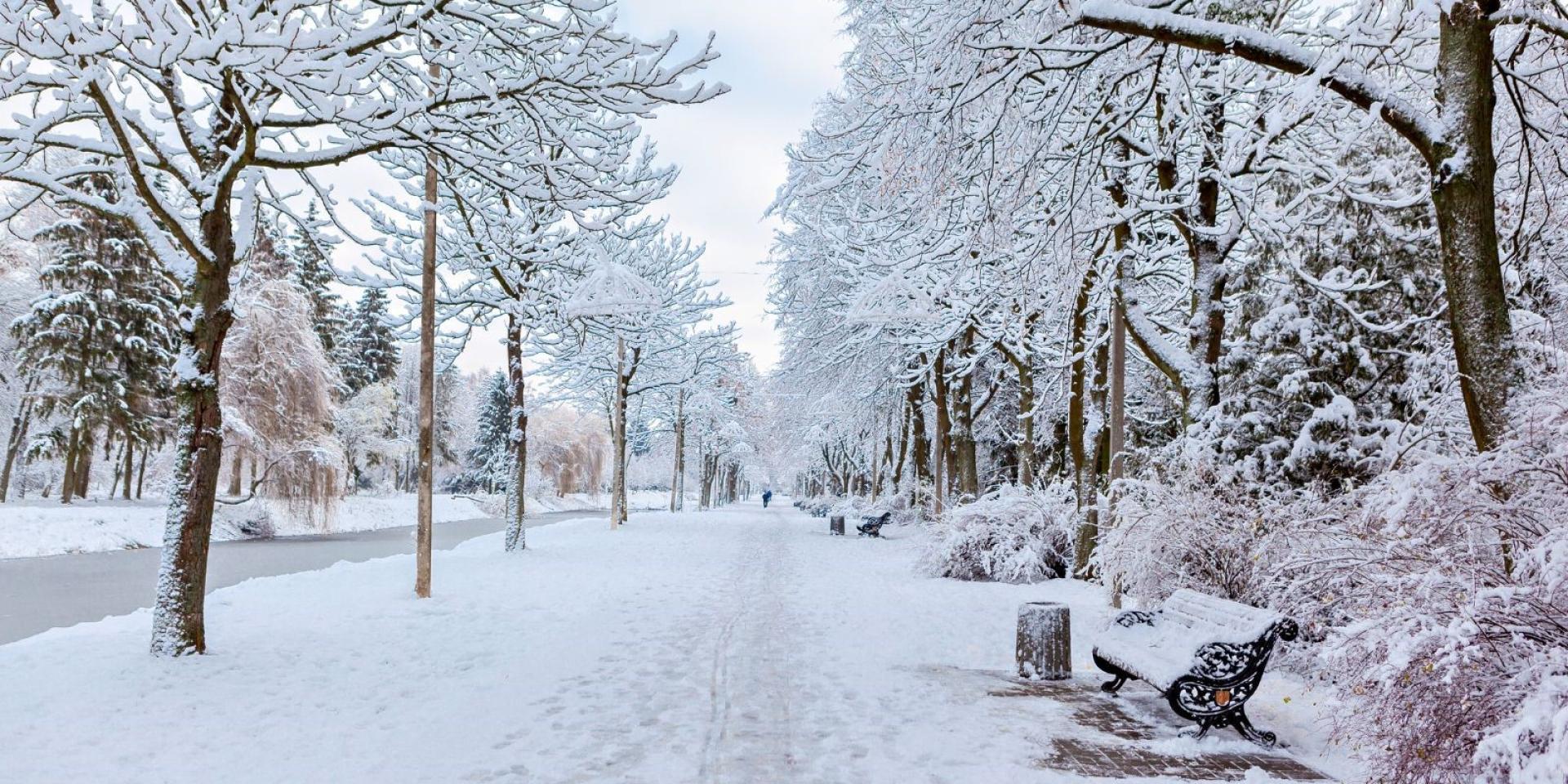 Outdoor winter scene Outdoor winter scene
