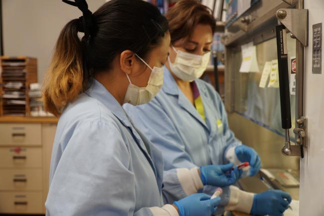 Lab technologists analyze sickle cells in MGH’s laboratory.